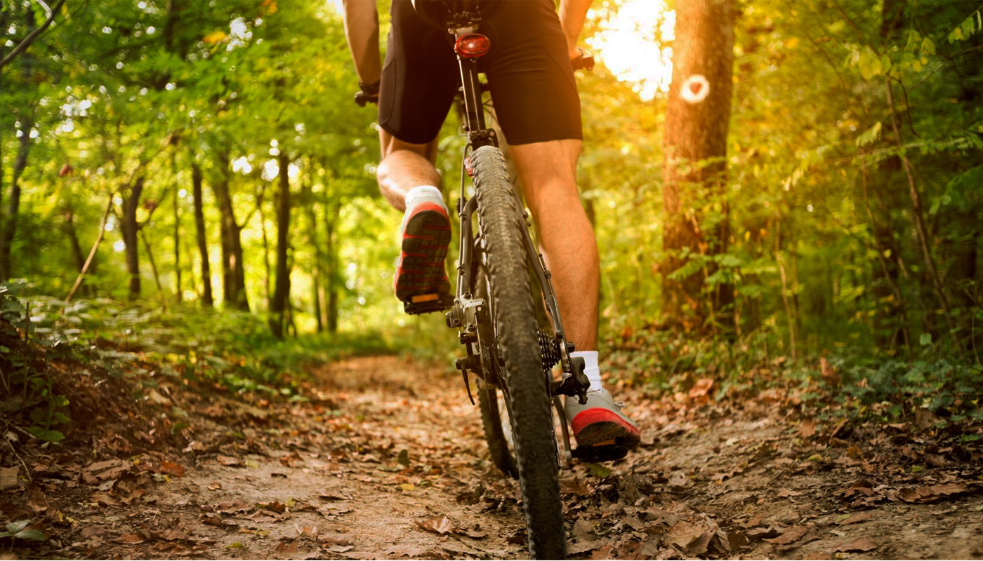 Séance de kinésithérapie